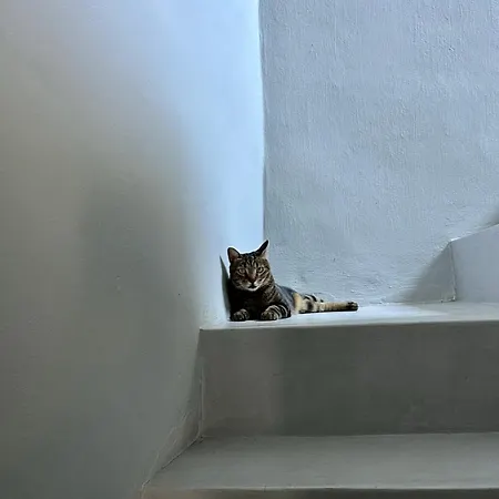 Nyaraló Karma Emboriósz